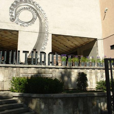 Kaunas Downtown Apartments Bagian luar foto