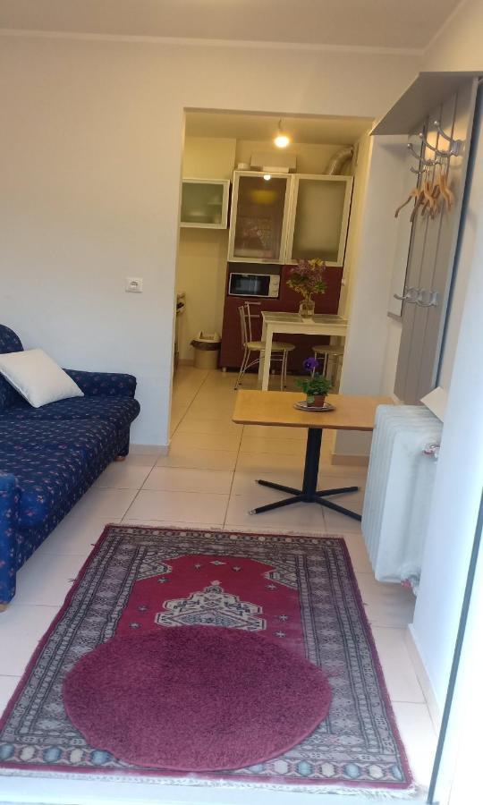 Kaunas Downtown Apartments Bagian luar foto