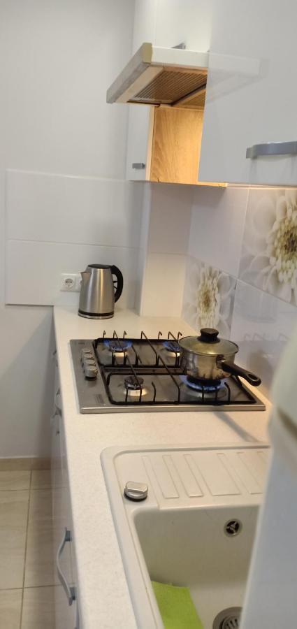 Kaunas Downtown Apartments Bagian luar foto