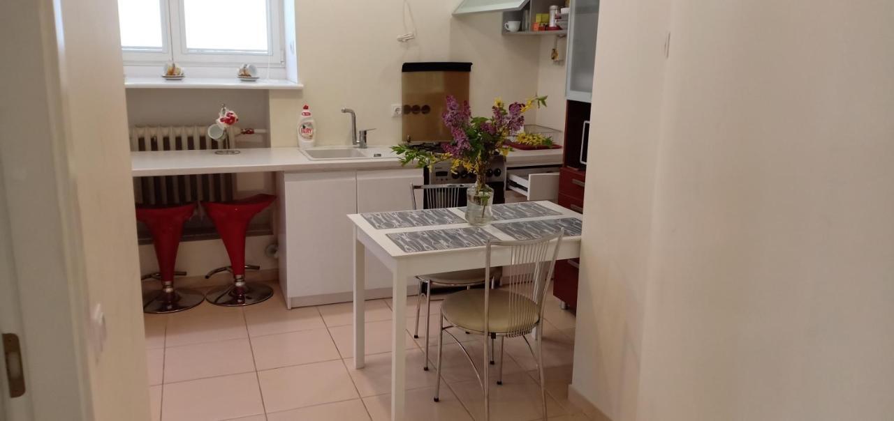 Kaunas Downtown Apartments Bagian luar foto